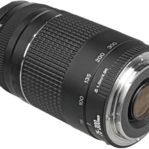 Canon 75-300mm Zoom Lens