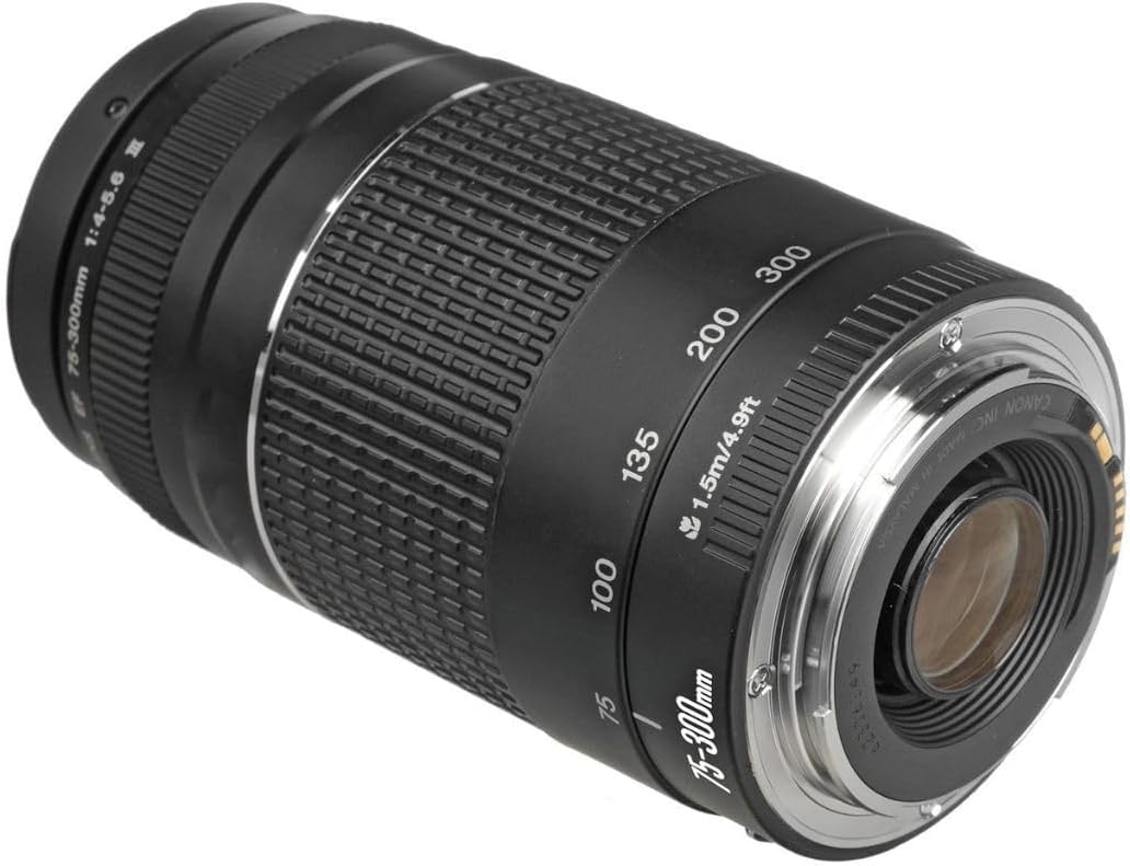 75-300 lens
