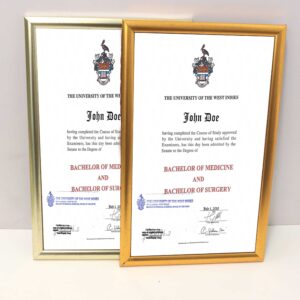 LEGAL SIZE FRAMES