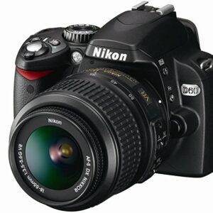 Nikon D3100 Camera