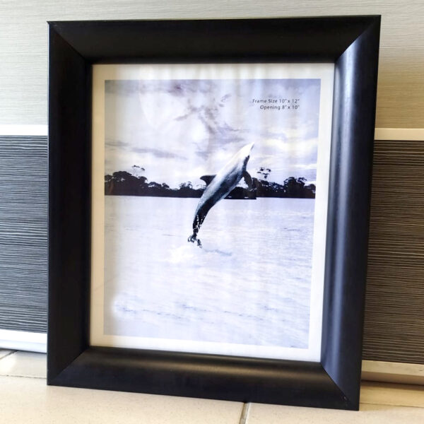 10x12 box frame