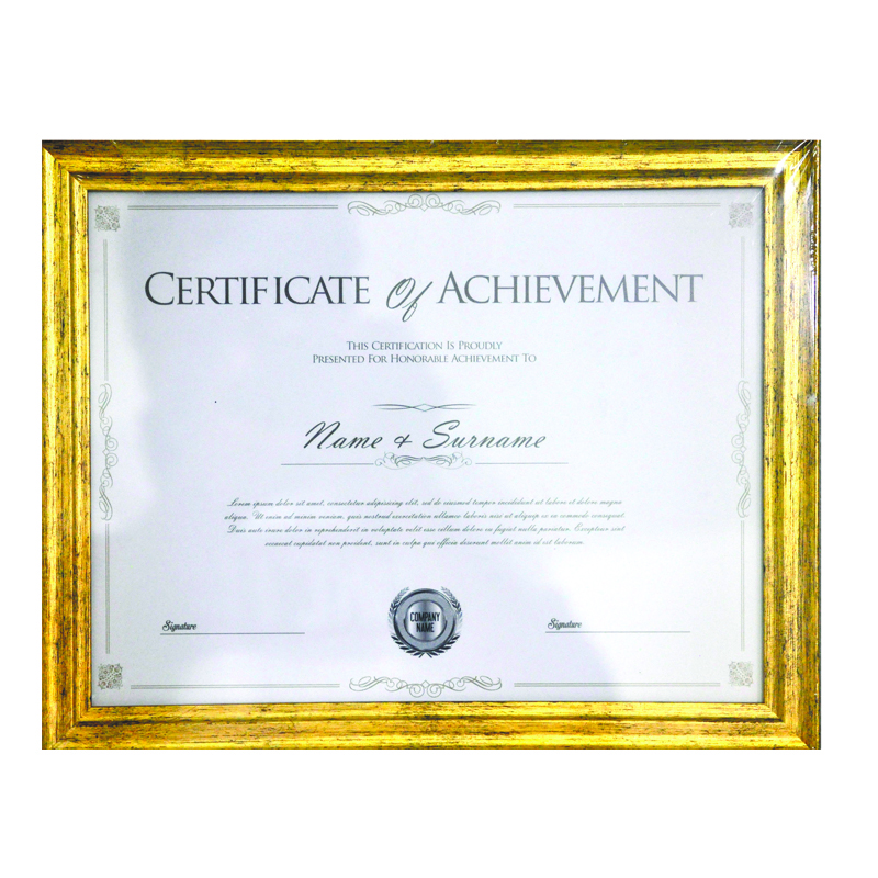 LETTER SIZE ANTIQUE GOLD FRAME